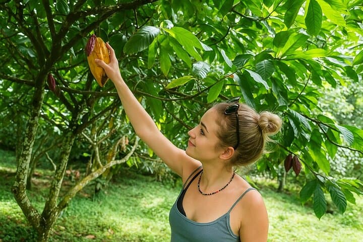 Soufrière Private Chocolate Tour: Bean-to-Bar Experience in St. Lucia photo 2