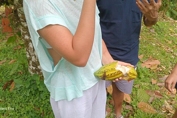 Soufrière Private Chocolate Tour: Bean-to-Bar Experience in St. Lucia photo 6