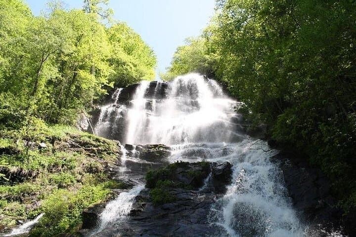 Private North Georgia Waterfall Tour — Amicalola, Helton Creek & Anna Ruby Falls photo 2