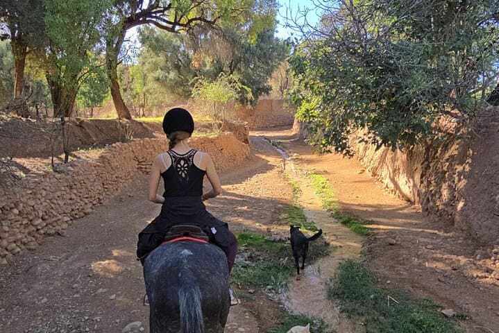Sunset Horse Ride Through Roses Valley and Dades Kasbahs photo 4