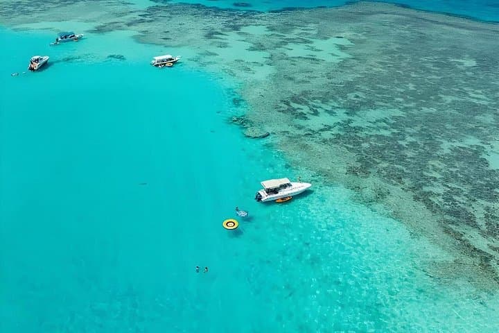Red Sea Snorkel: Snorkeling and Swimming Trip in Jeddah photo 2