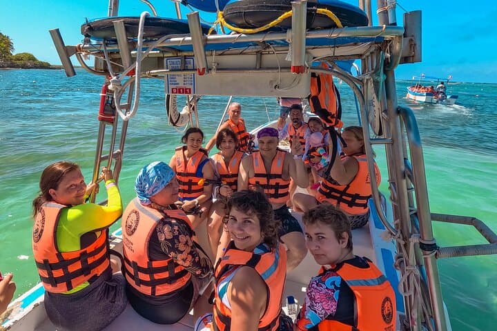 Half-Day Sea Turtle & Cenote Snorkeling Adventure from Cancun photo 5