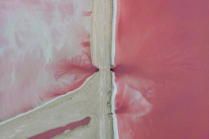 Las Coloradas Pink Lagoons & Río Lagartos Wildlife Day Tour photo 4