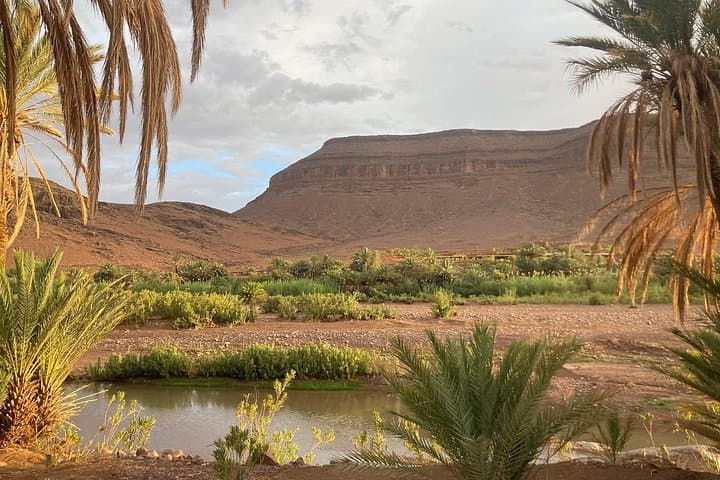 Two-Day Oasis Retreat: Fint Oasis & Ait Ben Haddou Private Tour from Marrakech photo 1