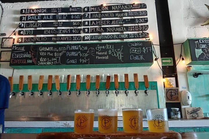 Brew Hop Cancun: Craft Beer Tour & Tasting in Puerto Morelos photo 5