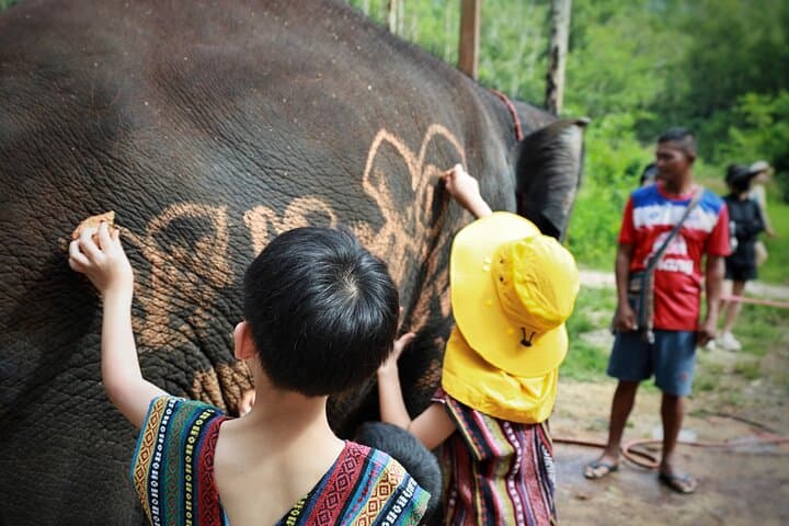 Phuket Ethical Elephant Care: Half-Day Sanctuary Experience at Nai Dee