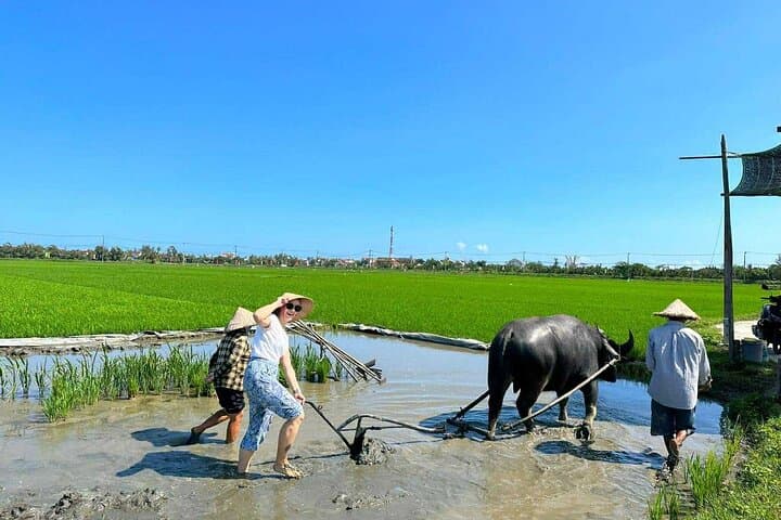 Hoi An Countryside Immersion: Basket Boats, Rice Fields & Local Life photo 4