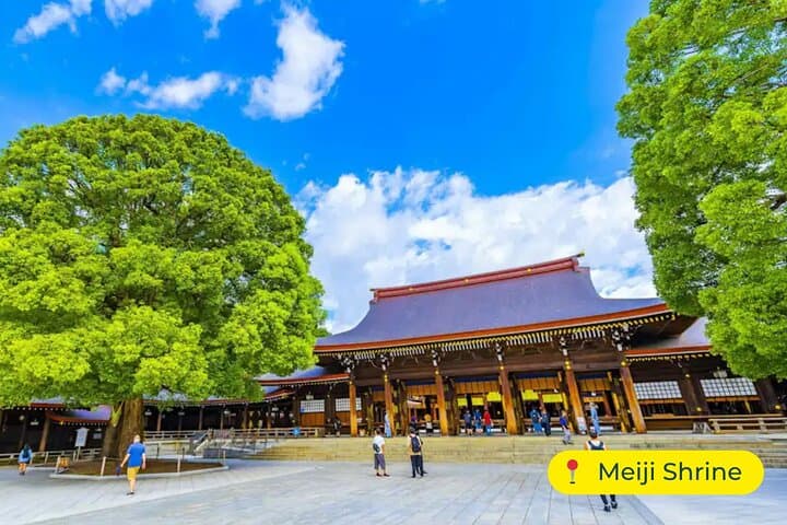 Full-Day Tokyo Private Car Tour with English-Speaking Driver photo 3