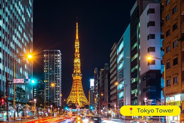 Full-Day Tokyo Private Car Tour with English-Speaking Driver photo 5