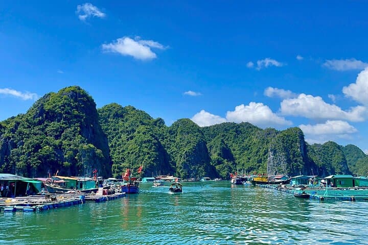 Lan Ha Bay Sunset Kayak & Night Bioluminescence Tour from Cat Ba photo 3