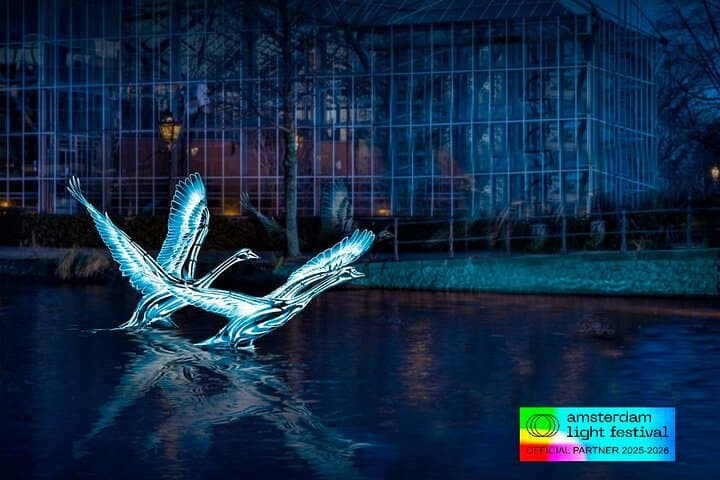 Amsterdam Light Festival Canal Cruise with Hot Snacks & Drinks photo 2