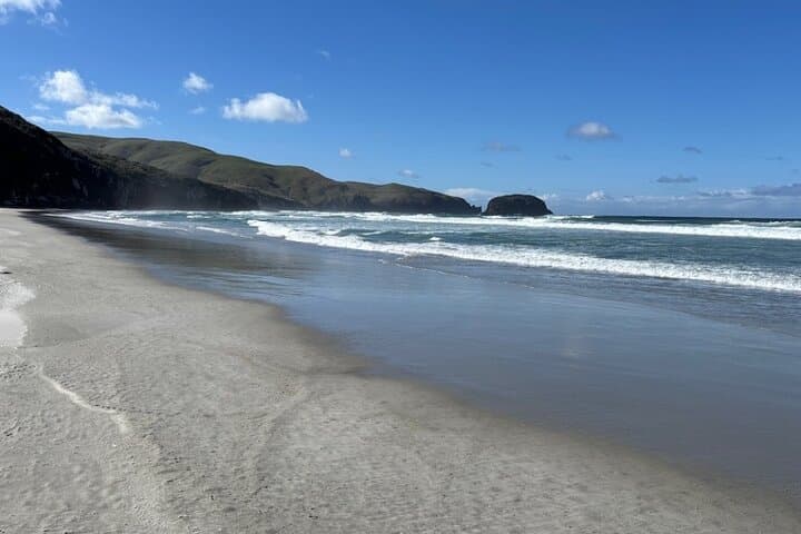 Otago Peninsula Hidden Gems: Self-Guided Driving Tour from Dunedin photo 3