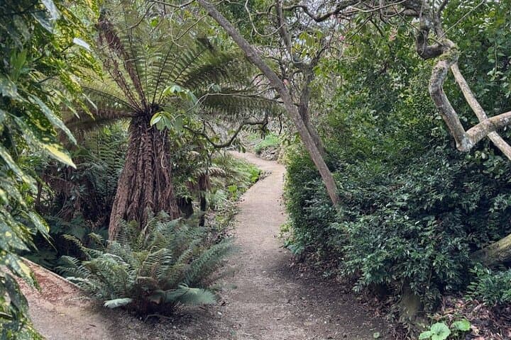 Otago Peninsula Hidden Gems: Self-Guided Driving Tour from Dunedin photo 4
