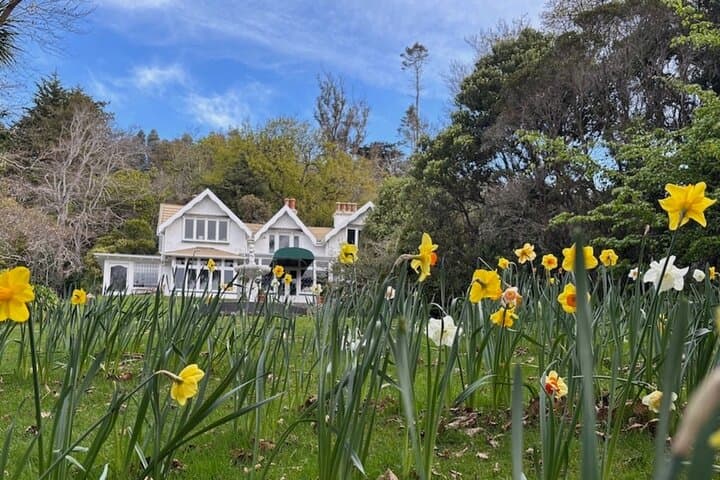 Otago Peninsula Hidden Gems: Self-Guided Driving Tour from Dunedin photo 6