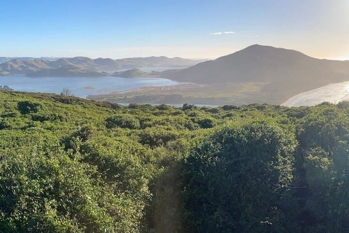 Otago Peninsula Hidden Gems: Self-Guided Driving Tour from Dunedin photo 5