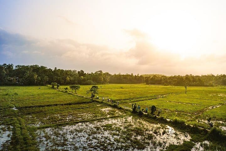 Paddy Trail: 11km Easy Bike Loop Through Eluvila Bird Sanctuary & Paddies near Yatagala photo 2