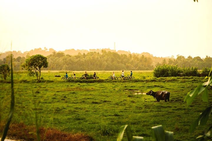 Paddy Trail: 11km Easy Bike Loop Through Eluvila Bird Sanctuary & Paddies near Yatagala photo 1