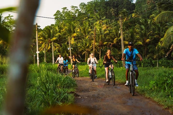 Paddy Trail: 11km Easy Bike Loop Through Eluvila Bird Sanctuary & Paddies near Yatagala photo 3