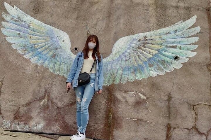 Itoshima Scenic Drive: Futamigaura, Palm Beach Lunch & Local Crafts from Fukuoka photo 4