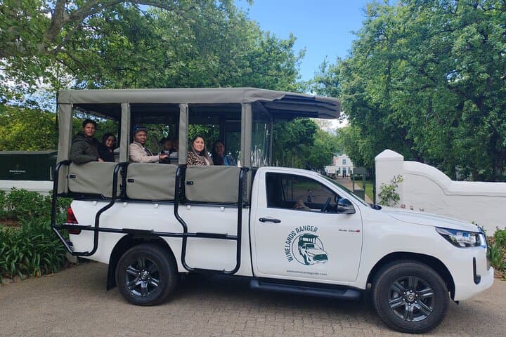 Open-Air Wine Safari in Franschhoek: Tasting Tour Through the Cape Winelands