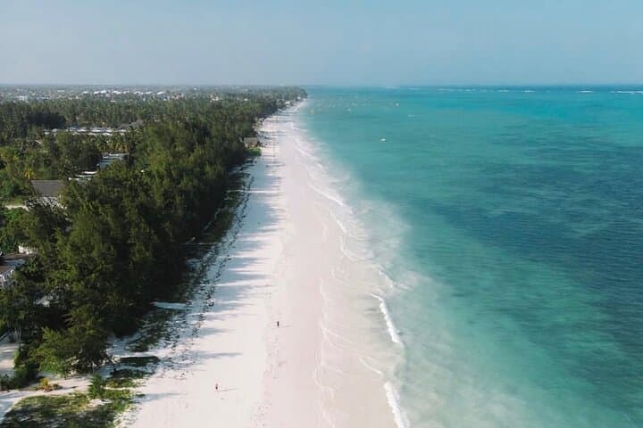Jozani Forest, Salaam Cave & Paje Beach — East Coast Day Tour from Stone Town photo 5