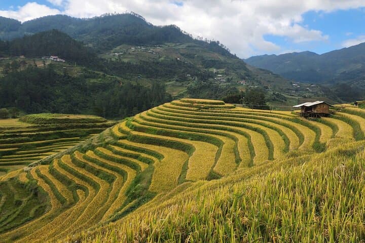 Mu Cang Chai 2-Day Trek: H'mong Homestays & Secret Rice Terrace Routes