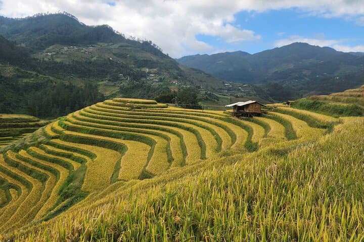 Mu Cang Chai Day Tour: Terraced Rice Views, Khau Phạ Pass & Hmong Village Insights