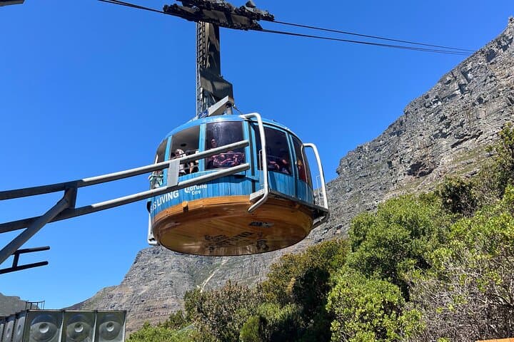 Half-Day Table Mountain Cable Car Tour with Fast-Track Access — Cape Town Panoramas photo 6