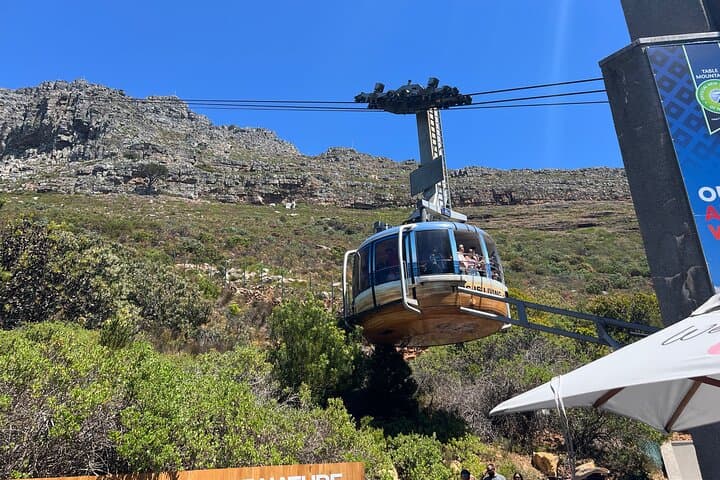 Half-Day Table Mountain Cable Car Tour with Fast-Track Access — Cape Town Panoramas photo 5