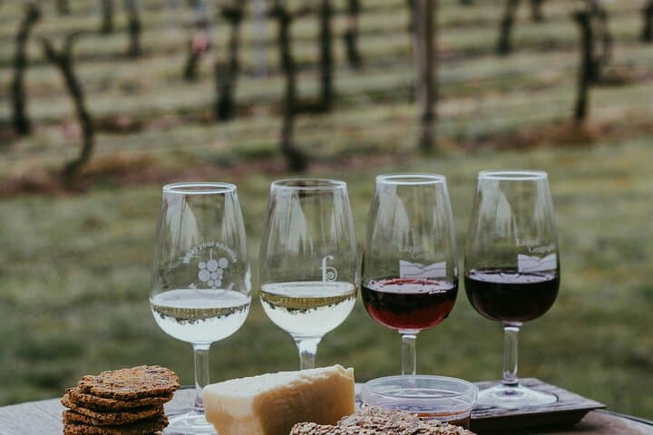 Durbanville Wine Valley Half-Day Tour: Top Estates, Tasting Routes & Practical Tips photo 3