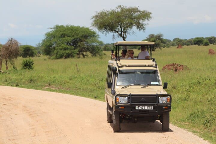 Tarangire National Park Day Trip: Elephant Herds, Baobabs & Dry-Season Game Drives photo 2