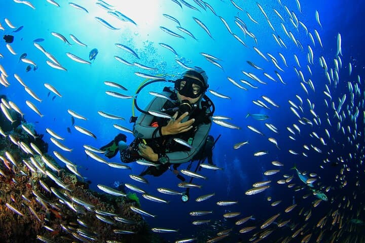 Discover Scuba in Agia Efimia — Beginner Scuba Diving on Kefalonia photo 2