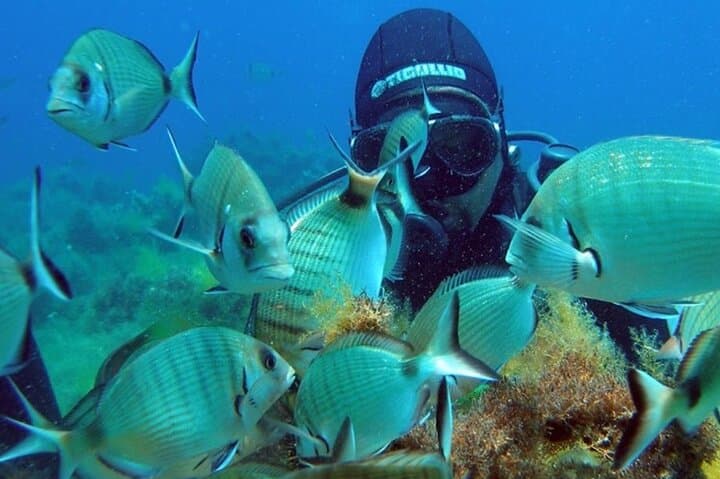 Discover Scuba in Agia Efimia — Beginner Scuba Diving on Kefalonia photo 6