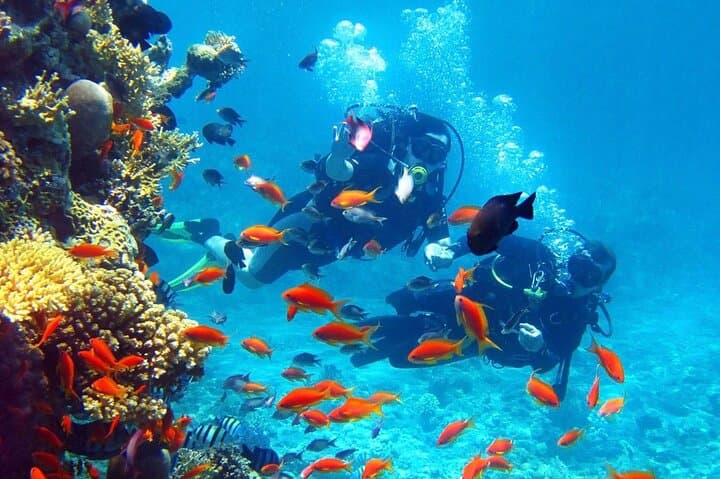 Discover Scuba in Agia Efimia — Beginner Scuba Diving on Kefalonia