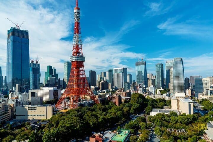 Tokyo City Pass: Skytree, Transport & Top Attractions Guide photo 5