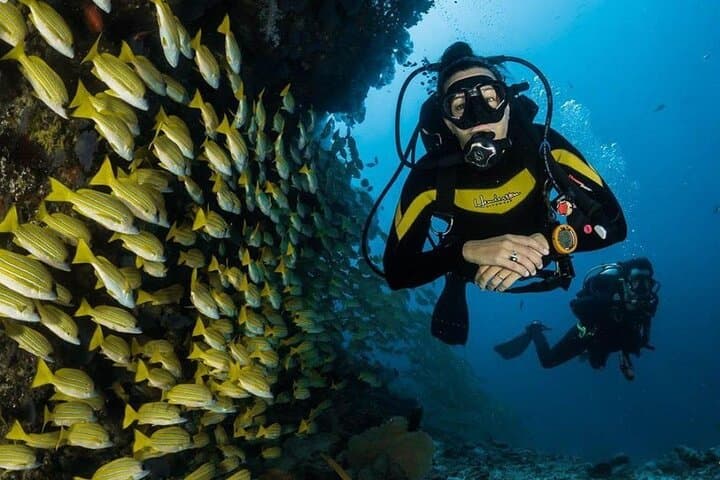 Discover Scuba in Agia Efimia — Beginner Scuba Diving on Kefalonia photo 4