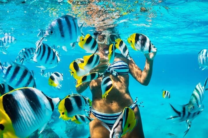 Full-Day Tiran Island Snorkeling Trip from Sharm El Sheikh
