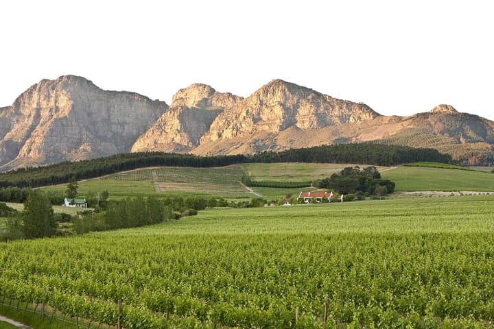 Franschhoek Wine Tram and Stellenbosch Full-Day Tour from Cape Town photo 6