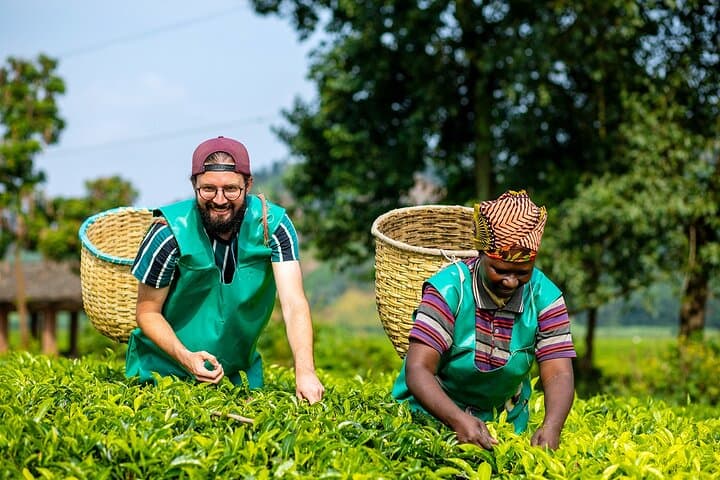 Crop-to-Cup Lake Kivu Coffee & Night Fishing: 2-Day Cultural Immersion