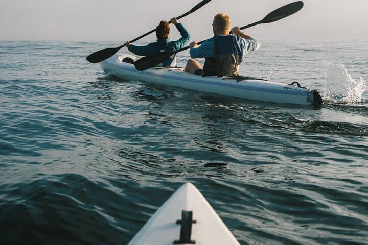 Kayak with Dolphins off Cape Town: Guided Sea Point & Three Anchor Bay Tour photo 5