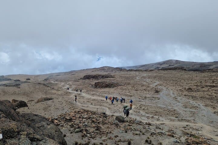 7-Day Kilimanjaro Trek via the Machame Route — Summit Uhuru Peak