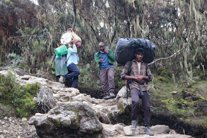 7-Day Kilimanjaro Trek via the Machame Route — Summit Uhuru Peak photo 5