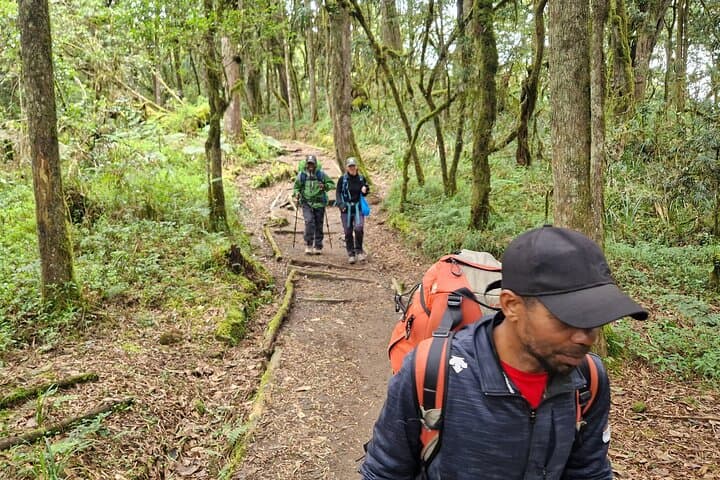 7-Day Kilimanjaro Trek via the Machame Route — Summit Uhuru Peak photo 6