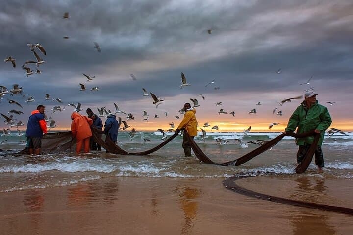 Surf and Sunset Tour in Almada and Caparica — Private Full‑Day Surf, Dunes & Cristo Rei Views photo 3