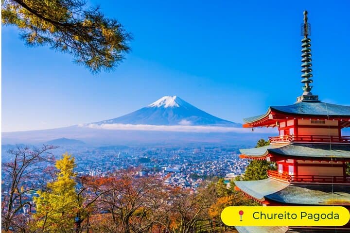 Private Mt Fuji Day Tour from Tokyo — Kawaguchi, Chureito Pagoda & Onsen photo 3