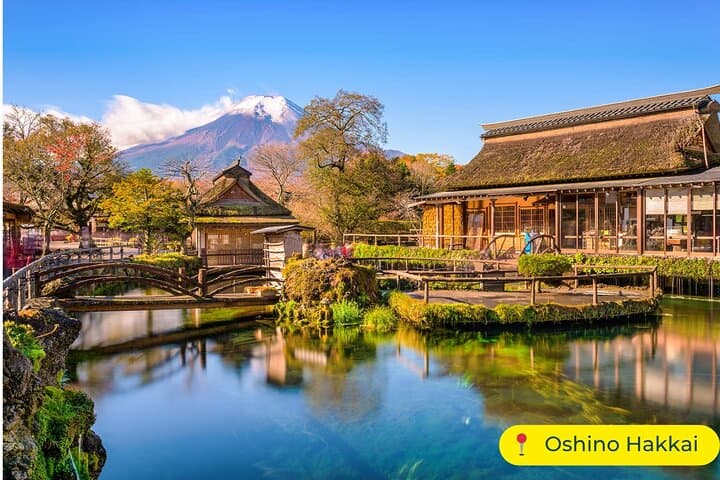 Private Mt Fuji Day Tour from Tokyo — Kawaguchi, Chureito Pagoda & Onsen photo 4