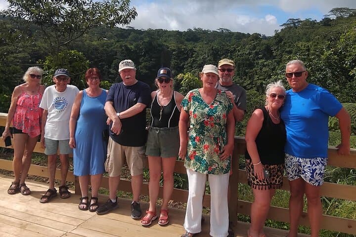 Private Samoa Island Tour: Upolu Full-Day Cultural & Snorkel Excursion photo 3