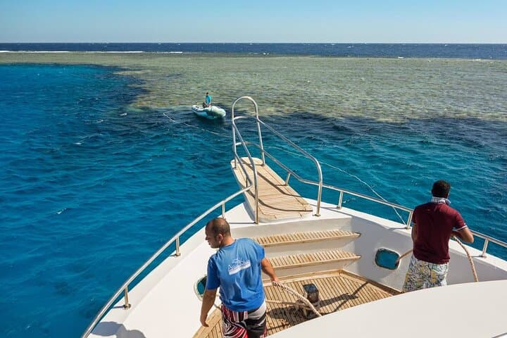 Tiran Island Full-Day Snorkel Trip from Sharm El Sheikh — Lunch Included photo 5