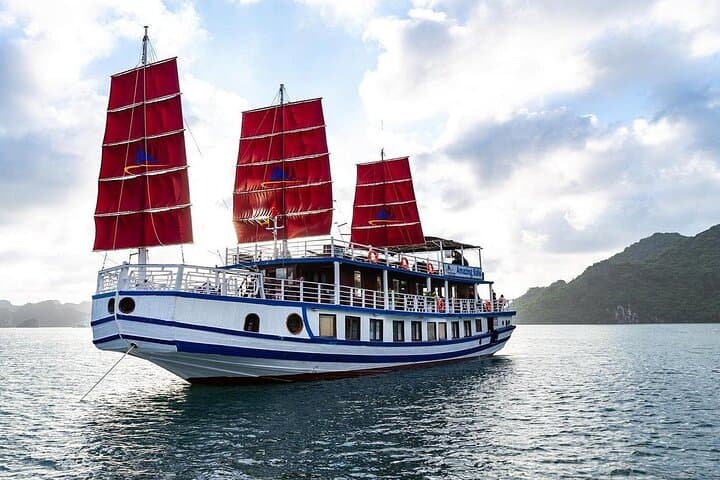 Bai Tu Long Bay Day Cruise & Kayak to Vung Vieng and Thien Canh Son