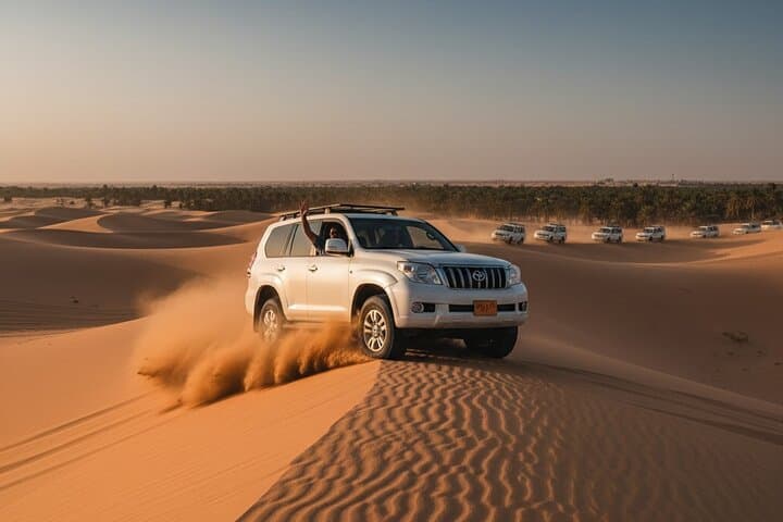 VIP Red Dune Safari in Lahbab: Dubai 4x4 Dune Bashing, Camel Ride & BBQ photo 3
